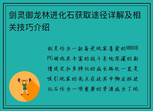 剑灵御龙林进化石获取途径详解及相关技巧介绍